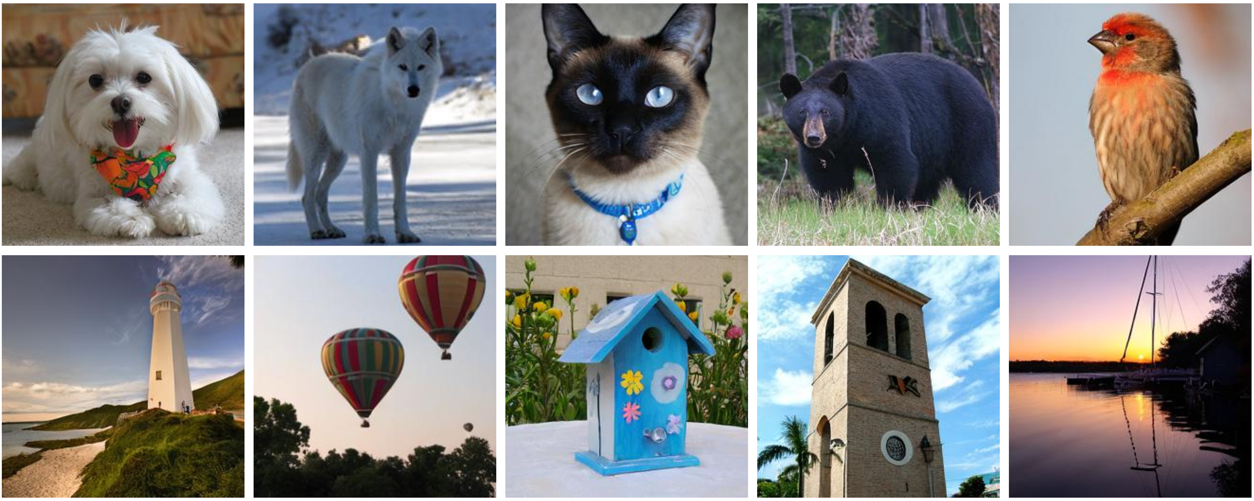 Generated Image Samples on ImageNet 256×256