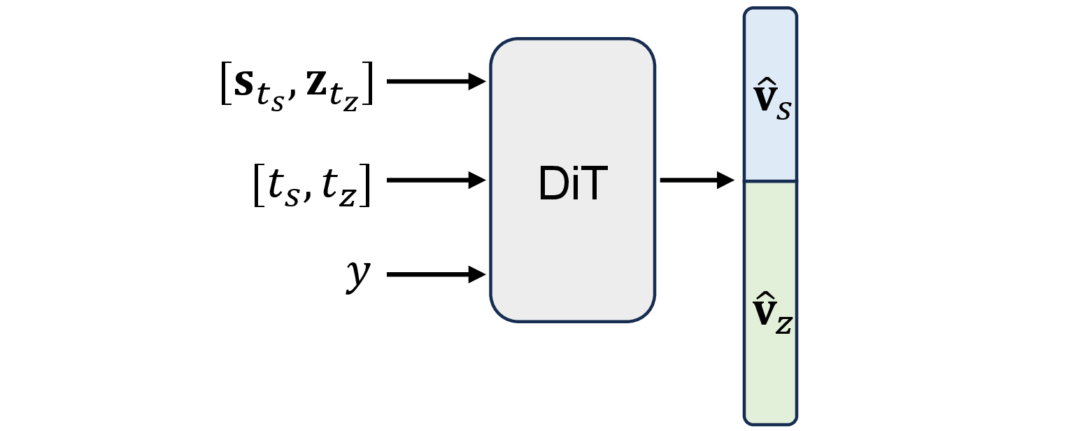 Input and Output of Diffusion Transformer